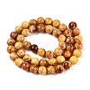 Natural Imperial Jasper Beads Strands G-N342-63J-2