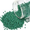 MIYUKI Round Rocailles Beads SEED-G007-RR4477-1