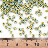 8/0 Glass Seed Beads SEED-S006-31-4
