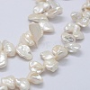 Natural Baroque Pearl Keshi Pearl Beads Strands PEAR-K004-29-3
