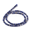Natural Sodalite Beads Strands G-I265-04-2