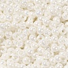 Glass Seed Beads SEED-H002-E-A121-3