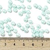 6/0 Glass Seed Beads SEED-L011-08A-14-4