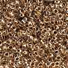 TOHO 11/0 Round Beads X-SEED-TR11-0989-3