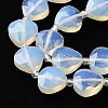 Opalite Beads Strands G-P570-E10-02-4