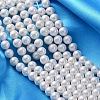 Shell Pearl Beads Strands SP8MM701-1