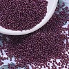 MIYUKI Round Rocailles Beads SEED-G007-RR0313-1