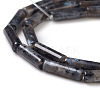 Natural Larvikite Beads Strands X-G-F247-23-3