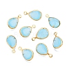 K9 Glass Charms GLAA-T023-10C-1