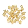 Electroplated Alloy Charms PALLOY-G267-09G-1