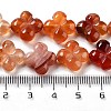 Natural Red Agate Beads Strands G-P520-A06-01-5