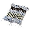 10 Skeins 6-Ply Polyester Embroidery Floss OCOR-K006-A57-1