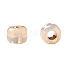 TOHO Round Seed Beads SEED-TR11-PF2111-4