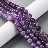 Gemstone Beads Strands G-S024-4