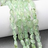 Natural Prehnite Beads Strands G-G018-64-1