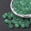 Transparent Acrylic Beads PL723-C14-1