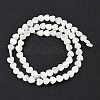 Natural Trochid Shell/Trochus Shell Beads Strands SSHEL-K012-04A-1