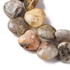 Natural Crazy Agate Beads Strands G-I372-A08-02-4