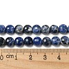 Natural Sodalite Beads Strands G-K351-A03-01-5
