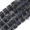 Natural Iolite Beads Strands G-C270-I03-01-2