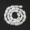 Natural Rainbow Moonstone Beads Strands G-O170-121-2