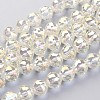 Electroplate Glass Bead Strands EGLA-J140-FR02-14mm-1