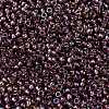 MIYUKI Round Rocailles Beads X-SEED-G008-RR3748-3