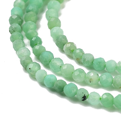 Natural Chrysoprase Beads Strands G-B088-C19-02-1