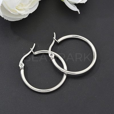 Tarnish Resistant 304 Stainless Steel Hoop Earrings EJEW-F105-10P-1