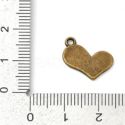 Tibetan Style Alloy Pendants LS-TIBEP-R197-AB-FF-1