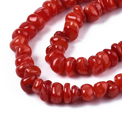 Natural Freshwater Shell Beads Strands SHEL-S278-041-1