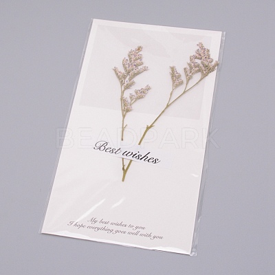 Paper Cards DIY-WH0183-41C-1