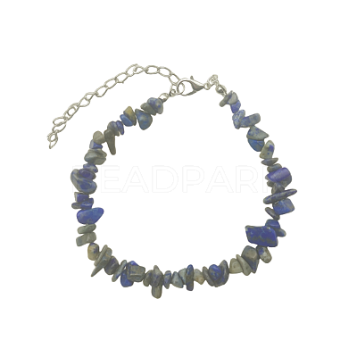 Natural Sodalite Chips Beaded Bracelet TJ9442-6-1
