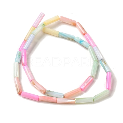 Rainbow Color Dyed Natural Freshwater Shell Beads Strands X1-SHEL-G018-02B-1