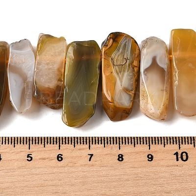 Natural Botswana Agate Beads Strands G-S386-D02-1