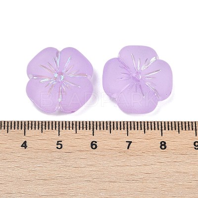 Frosted Transparent Acrylic Beads OACR-P029-19B-04-1