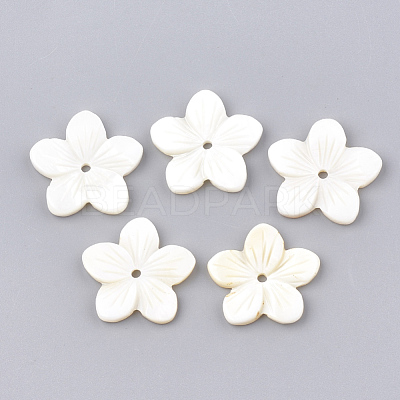 Freshwater Shell Beads SHEL-S274-09-1