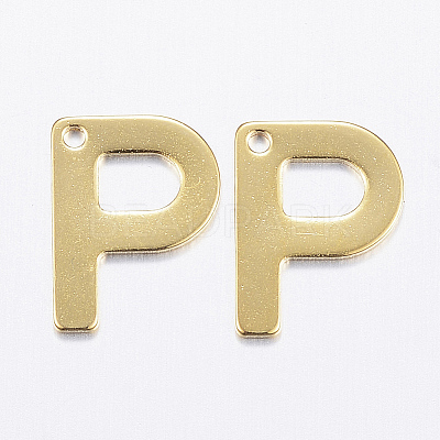 304 Stainless Steel Charms LS-X-STAS-P141-P-1