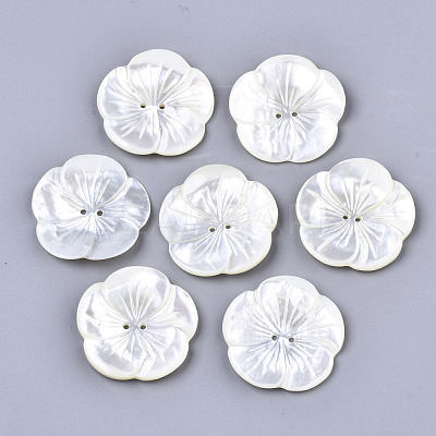 2-Hole White Shell Mother of Pearl Shell Buttons SSHEL-R049-06-1