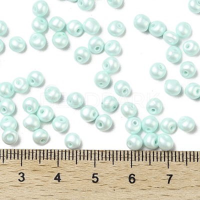 6/0 Glass Seed Beads SEED-L011-08A-14-1