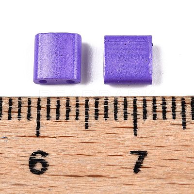 2-Hole Baking Paint Glass Seed Beads SEED-S023-17C-24-1