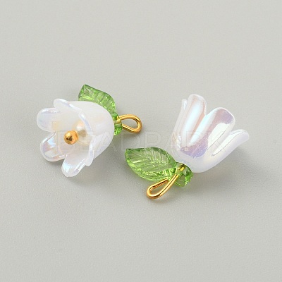 Opaque Resin Pendants CRES-CJC0009-05G-09-1