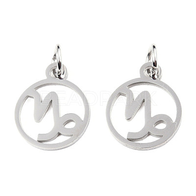 Non-Tarnish 304 Stainless Steel Charms STAS-T036-T513-A10-1