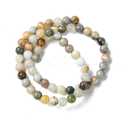Natural Bamboo Leaf Agate Round Bead Strands G-M248-6mm-04-1