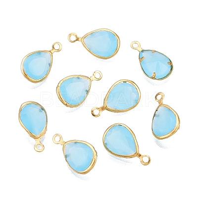 K9 Glass Charms GLAA-T023-10C-1