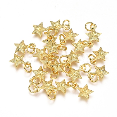 Electroplated Alloy Charms PALLOY-G267-09G-1