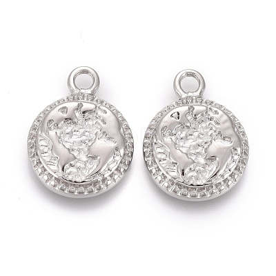 Non-Tarnish 304 Stainless Steel Charms STAS-F256-012P-1