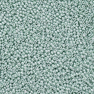 11/0 FGB Grade A Baking Paint Glass Seed Beads X-SEED-N001-A-1031-1