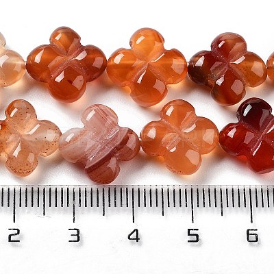 Natural Red Agate Beads Strands G-P520-A06-01-1