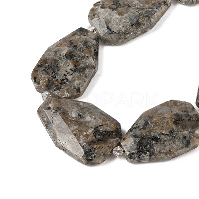 Natural Syenite Beads Strands G-P548-B26-01-1